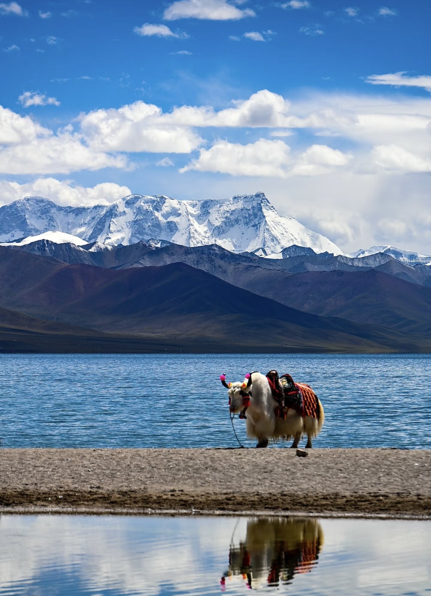 Tibet