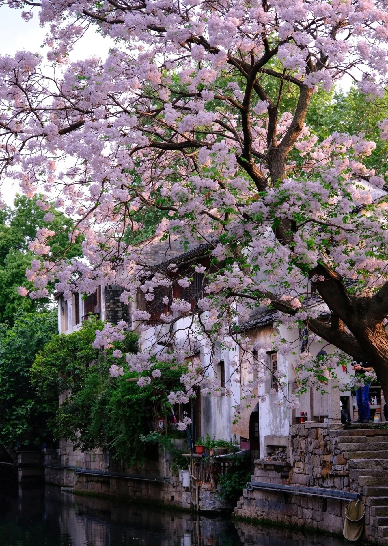 Zhejiang