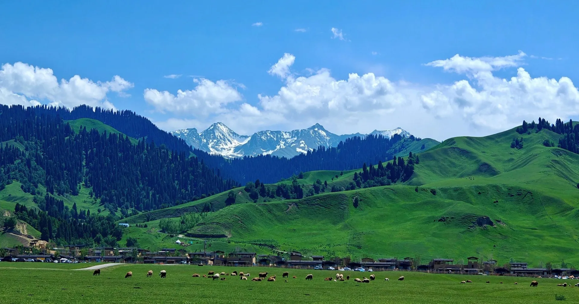 Nalati Grassland
