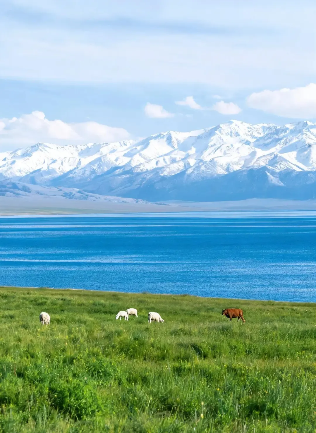XINJING SILK ROAD TOUR