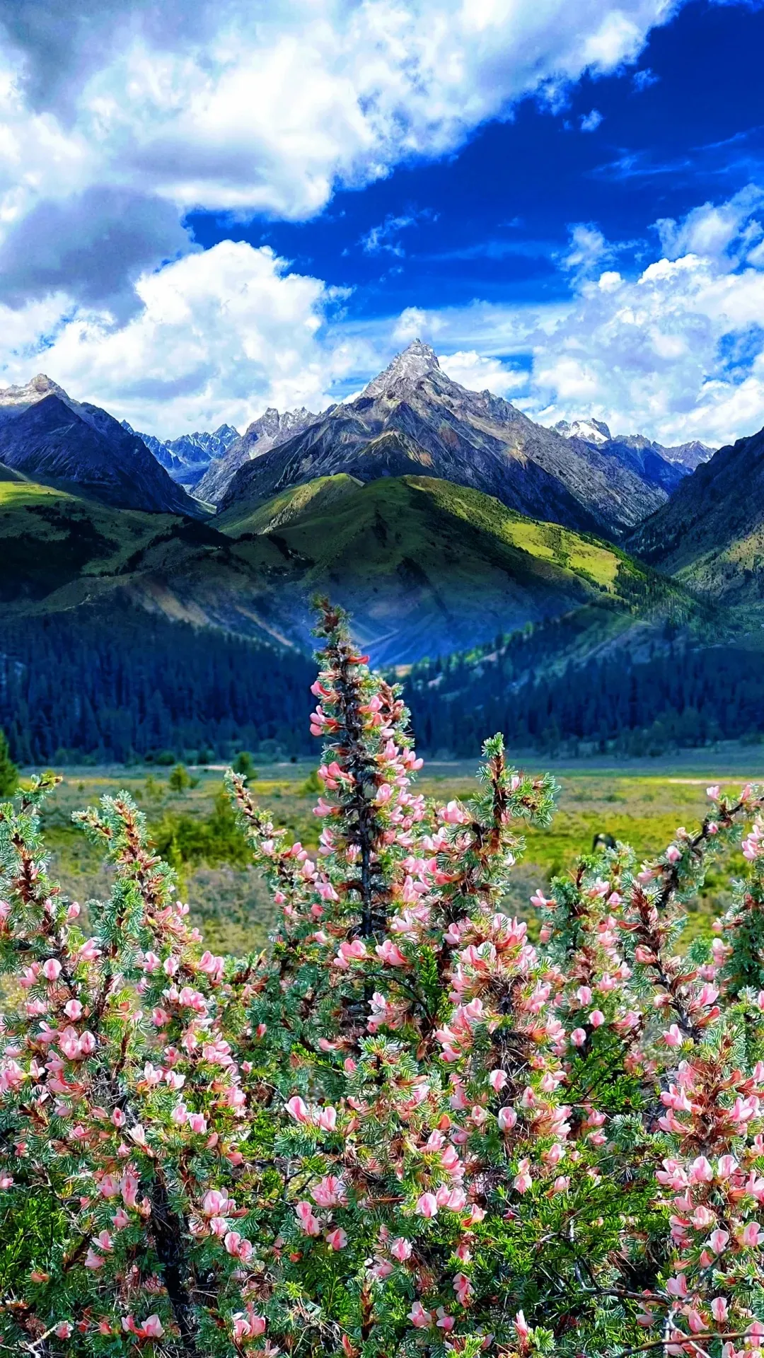 Sichuan